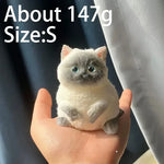 Kawaii Cat Squishy Stress Relief Toy