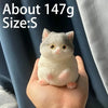 Kawaii Cat Squishy Stress Relief Toy
