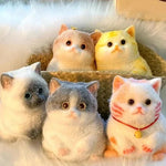 Kawaii Cat Squishy Stress Relief Toy