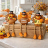 Resin Turkey Tabletop Centerpiece Decor