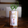 Sweet Love