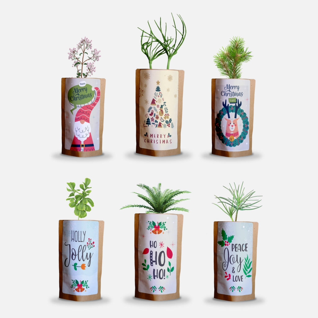 Christmas Greetings Tree Gift Pack, We Plant 60 More Trees